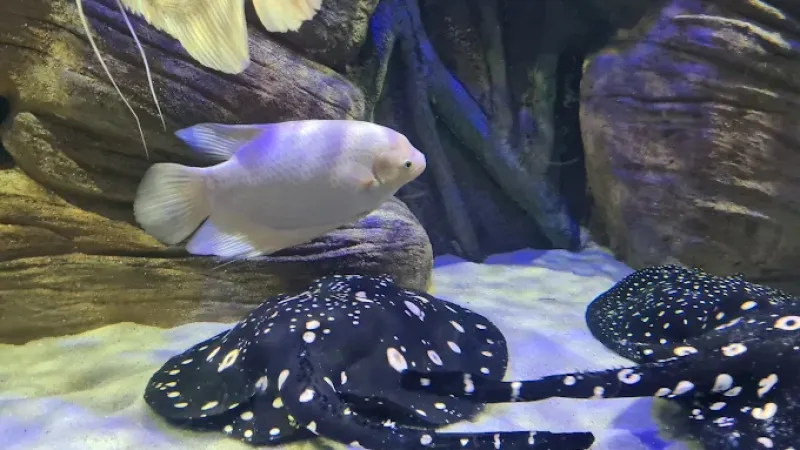 Oceanarium Międzyzdroje